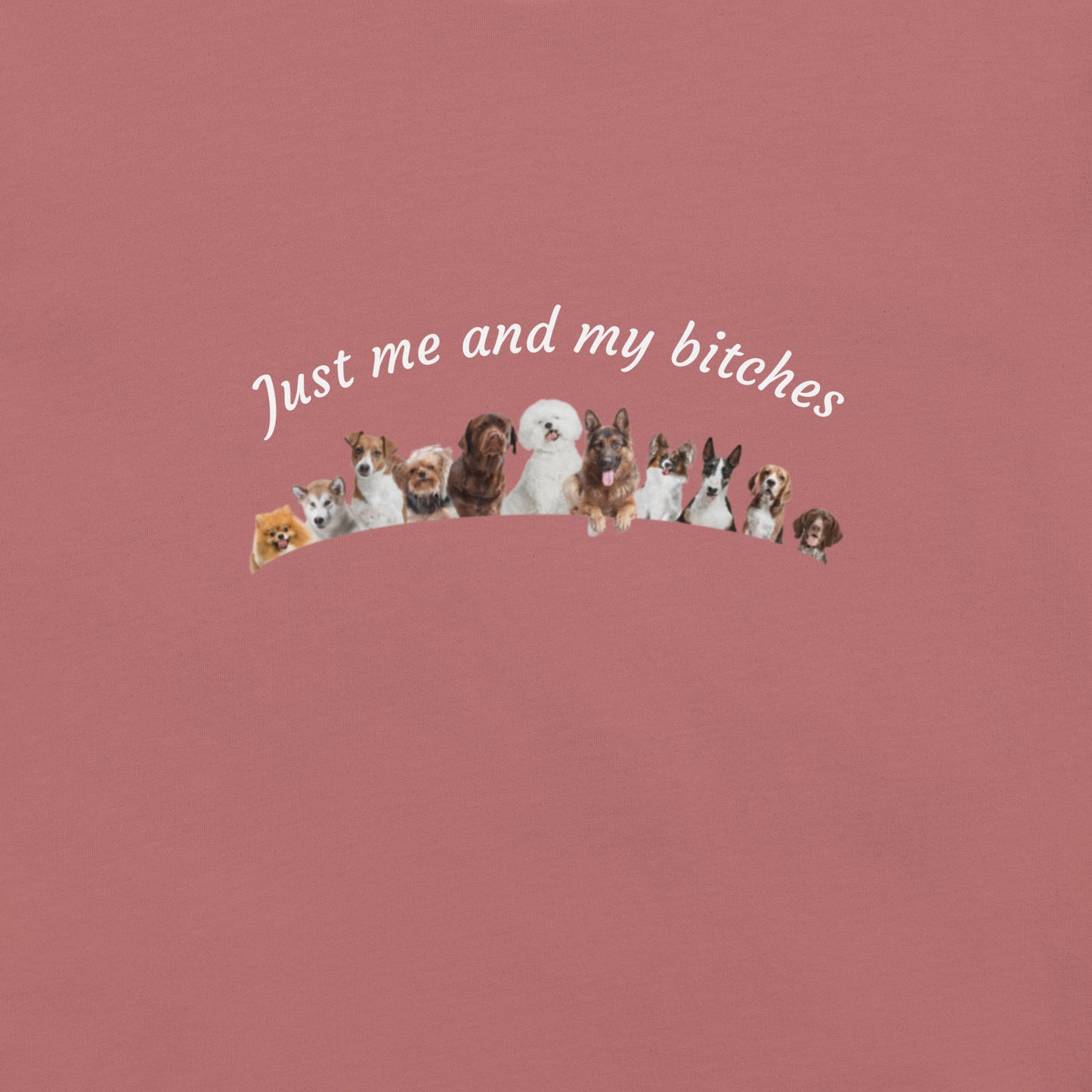 Just Me and My Bitches Unisex t-shirt